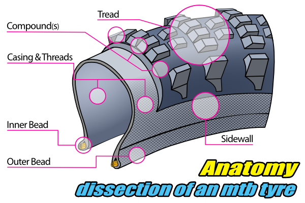 anatomy mtb tyres