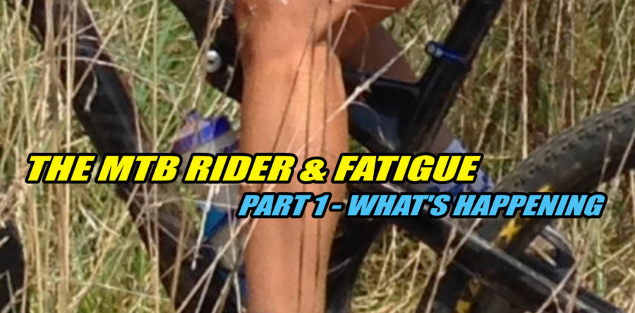 The MTB Rider and Fatigue – Pt 1 What’s Happening?
