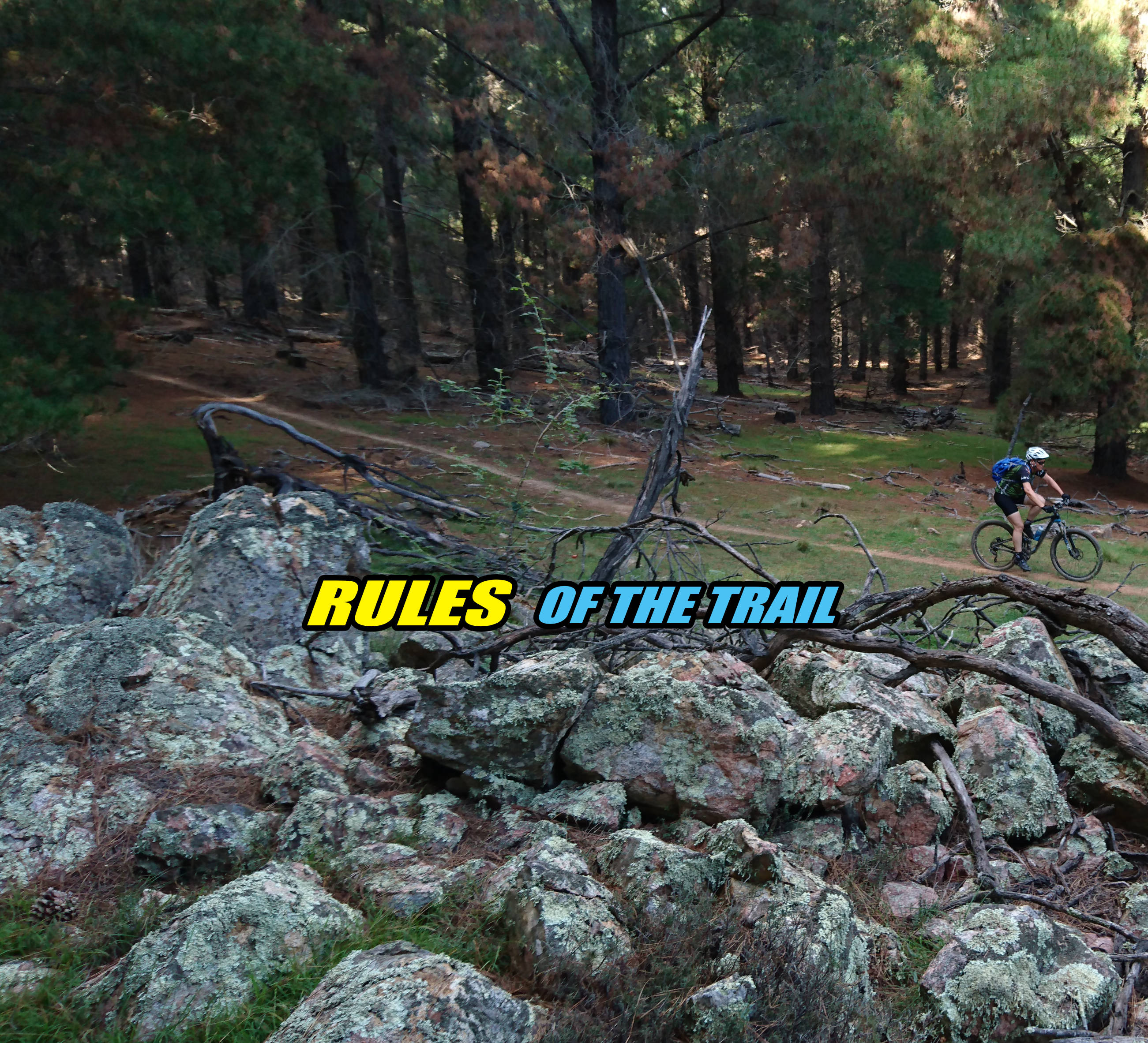IMBA rules of the trail