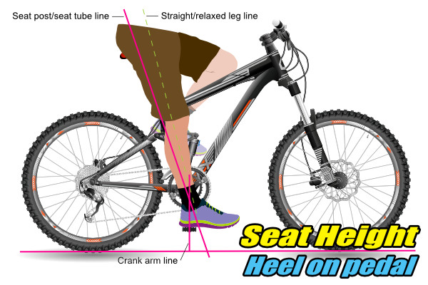 seat height