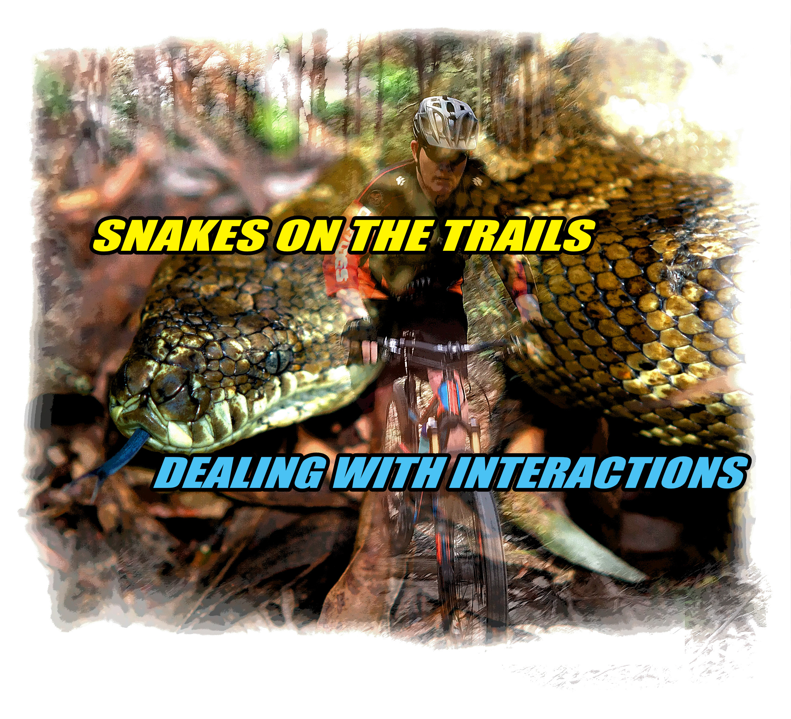 Snakes on the trail mtb mountain biking