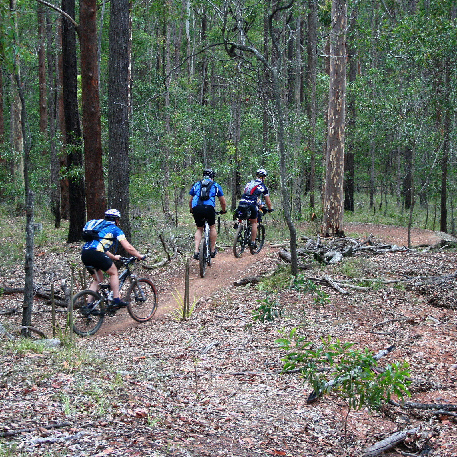 mountain bike coaching Beginner sessions momentum is your friend